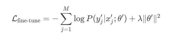 fine-tune regularization